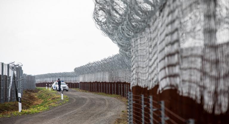 Ceglédi Zoltán: Miért simogassunk mégis migránsokat?