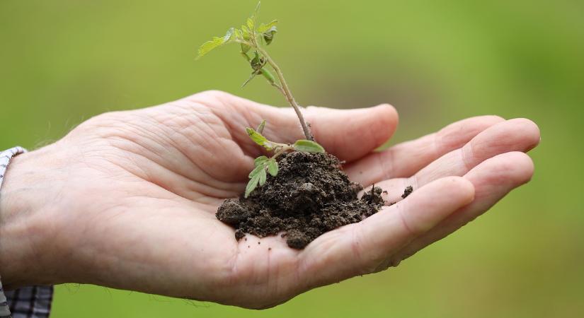 Egy új agrárinnovációs kiadvány ismerteti az agrárium előtt álló kihívásokat