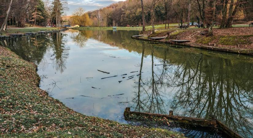 A Zselic felfedezésre váró kincse: barangolj a Gyertyánosi-parkerdőben