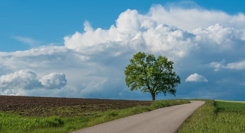 Elérhetővé vált a külterületi utak fejlesztését támogató pályázat