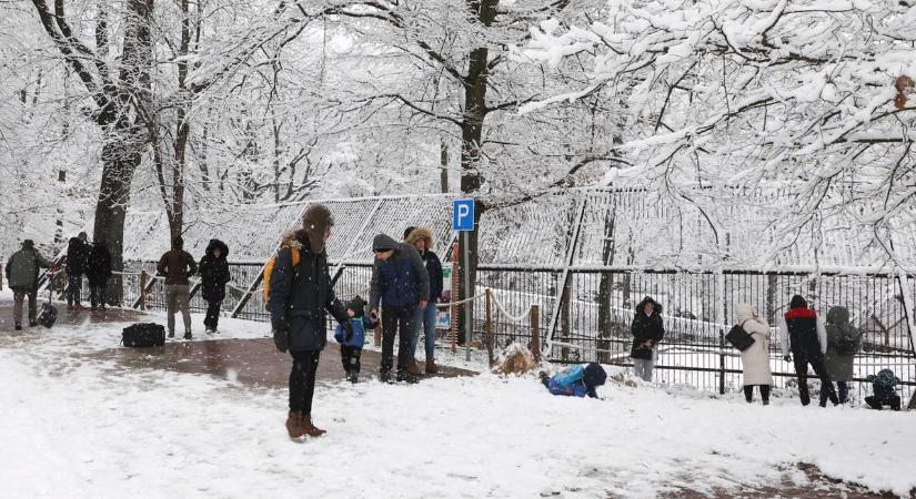 Bács-Kiskunban napszemüvegre, Miskolcon hólapátra volt szükség