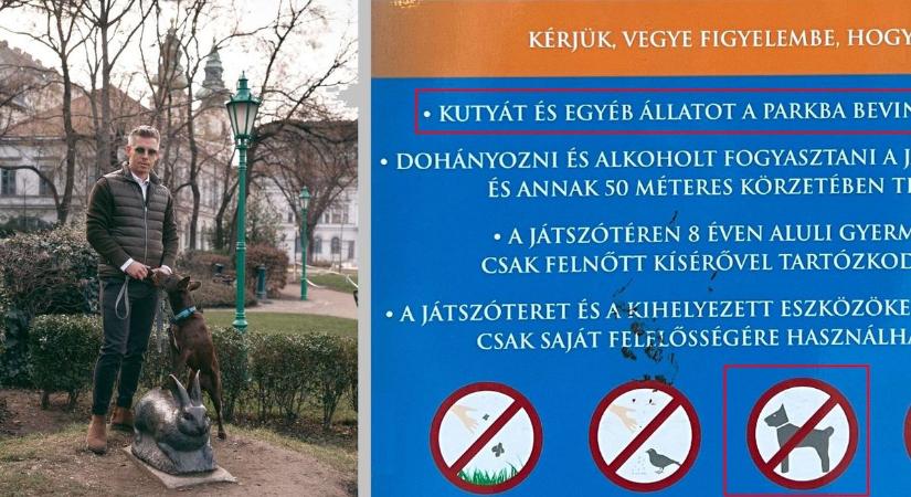 "Gyerekjátszótér, kutyát bevinni tilos" - Magyar Pétert ez sem érdekli