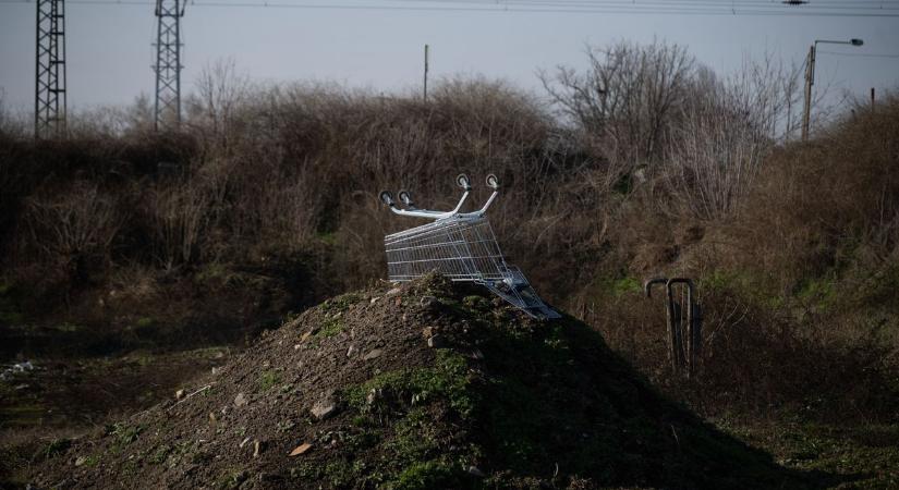 Műalkotás vagy vandalizmus?