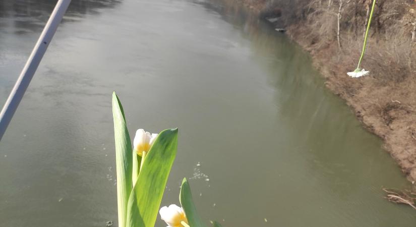 Emlékezés a szőke Tisza fekete napjaira