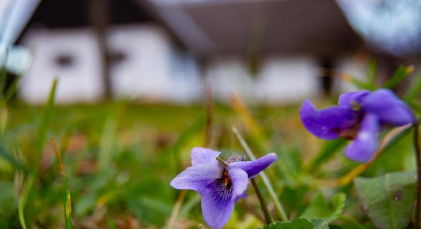 Napos, de hideg idő várható a jövő hét elején