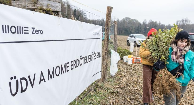 Tapsolással fojtották bele a rektorba a szót a hallgatók a MOME szenátusi ülésén