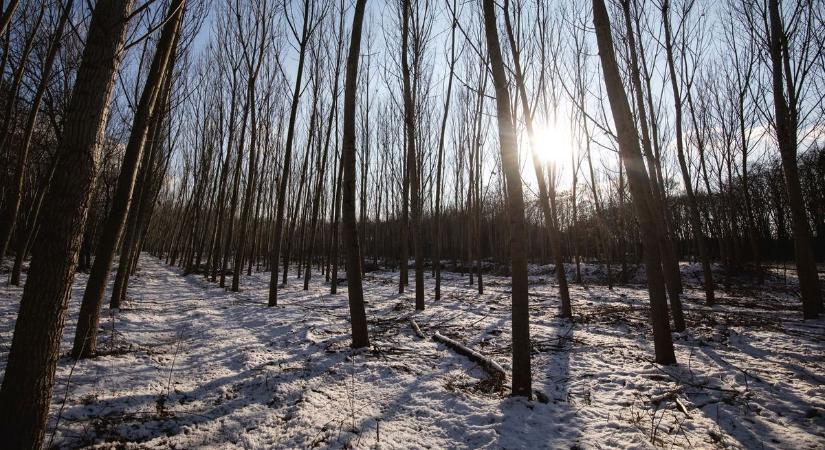 Még van, ahol lehet gyönyörködni a hóban Debrecen környékén – fotókkal