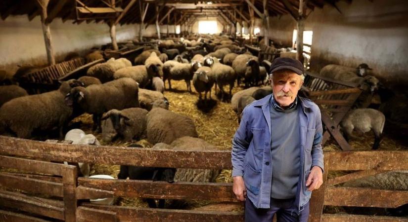 Tombol a járvány, szigorú intézkedéseket vezettek be