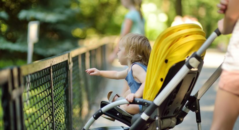 Hétvégi kiruccanások babakocsival: Kalandok a természetben