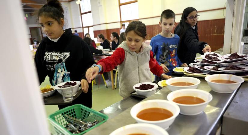 Ki fizesse a gyerekek ebédjét? Nagyatád segítséget kér