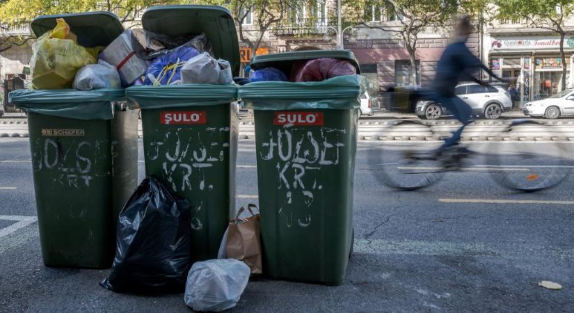 A vásárlók szeme láttára vitték vissza az utcán hagyott szemetet egy ruhaboltba Terézvárosban