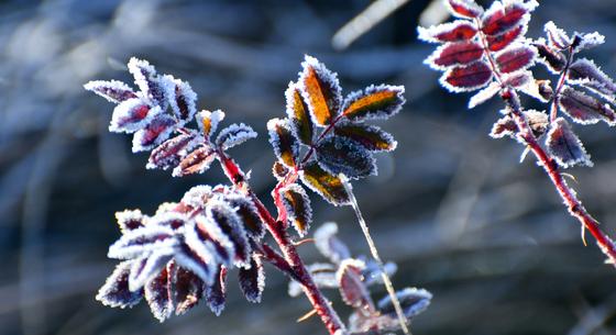 A múlt éjjel volt a leghidegebb a télen, -25,7 fokot mértek a Bükkben