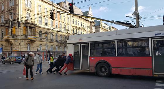 Szülést levezető buszsofőr, elveszett gyerek és a kóbor cica - öt hihetetlen sztorit szedett össze a BKK