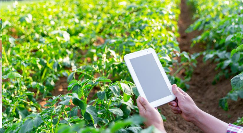 Feldman Zsolt: az agrárium digitalizációjának ösztönzése a lehető legszélesebb eszköztár felhasználásával történik