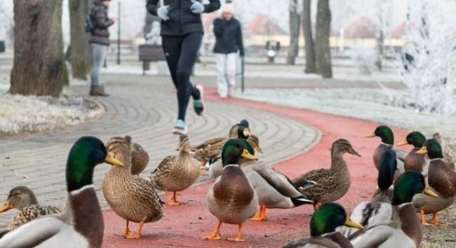 Itt a friss időjárás-előrejelzés február 5-re, szerdára - Mutatjuk a részleteket