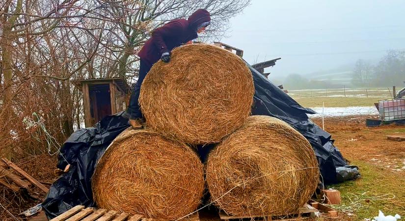 Feladatok a tanyán: Bálabontás