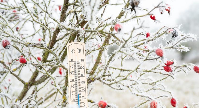 Nincs tovább kétely 2025-ben, ekkor ér véget a tél. A meteorológusok sem hiszik el, amit látnak, mert a 2. hónap olyat hoz