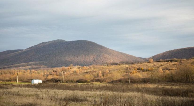 Ritka emlős járja a Bükki Nemzeti Park Igazgatóság területét: 70 évig egy élő példányt sem láttak belőle