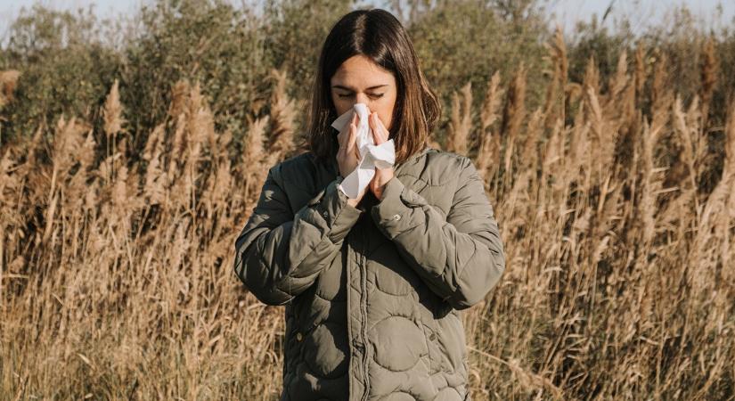 Allergiás vagy? Néhány heted maradt az immunterápia elkezdésére