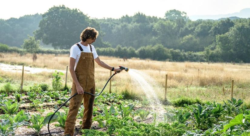 Tovább bővül a szlovén-magyar élelmiszer-termelőket támogató projekt