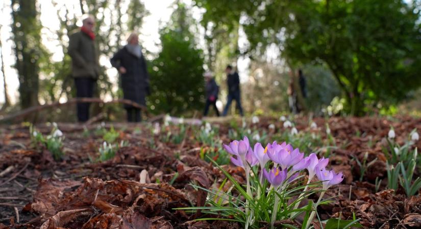 Éles fordulatot vesz az időjárás: ezt hozza Dorottya napja, február 6, a népi hiedelem szerint