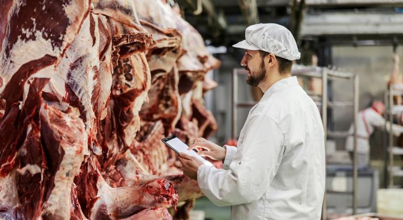 Erős mankót adott az agrár-külkereskedelem a magyar gazdaságnak