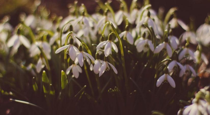 Február – külső, belső rendrakás, tavaszvárás életvezetési tanácsadással