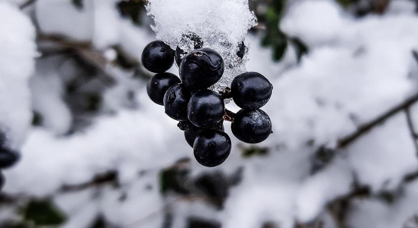 Hűvös, szeles, felhős: tipikus téli idő lesz ma