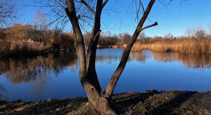 Csodálatos táj, csendes víz – a gyömrői Tőzeges-tó varázsa