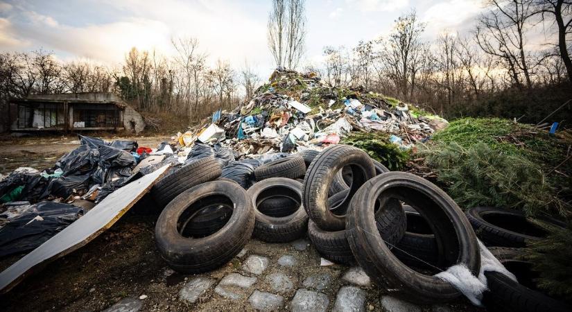 Megszólalt a frakcióvezető: Rákosrendező sorsa megpecsételődött