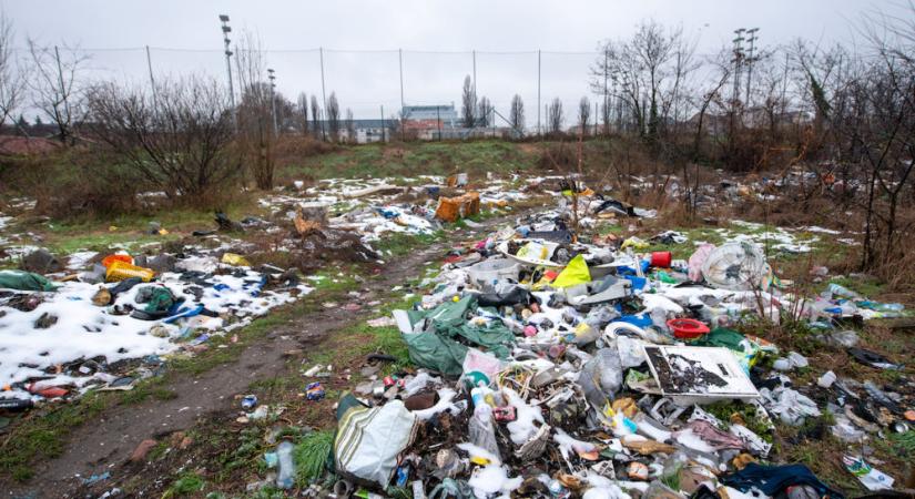 Szentkirályi Alexandra: Rákosrendező sorsa megpecsételődött