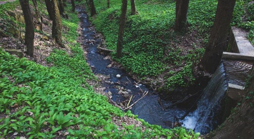 9 millió euró forog kockán – de ki garantálja, hogy a pénz nem tűnik el látványtervekben?