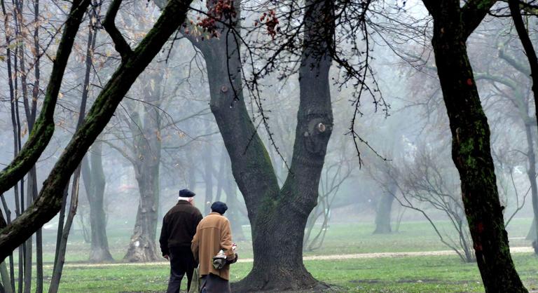 Aggódnak a tudósok, sosem volt még olyan meleg a január, mint most