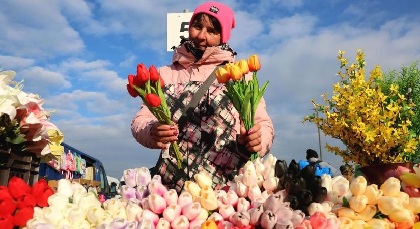 A hidegben is tavaszi hangulat volt a februári ónodi vásáron - képek, videó