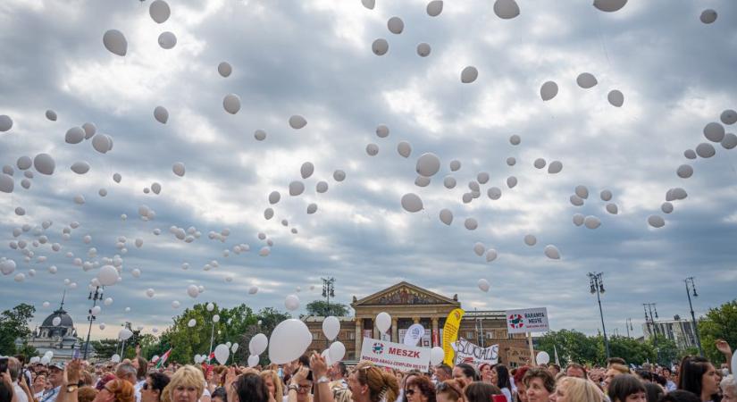 A gyógyszerészi és a szakdolgozói kamarának is programja lesz az orvoskamara által szervezett demonstráció napján