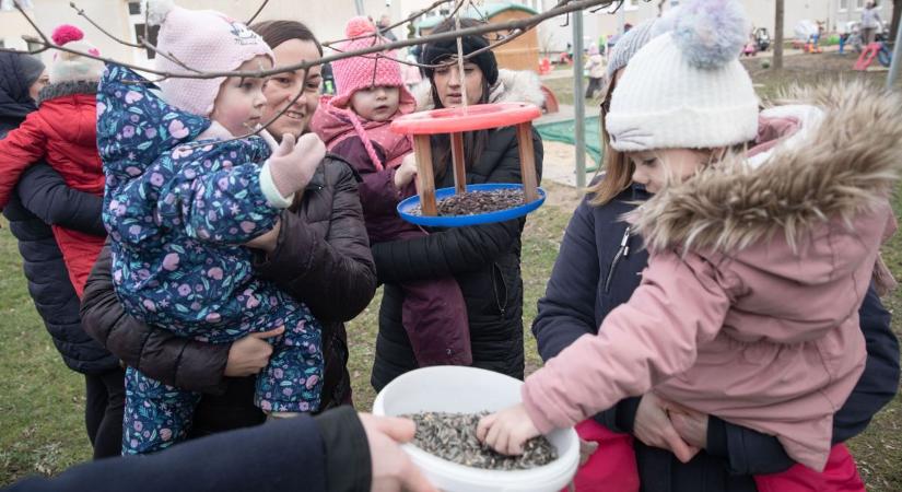 Madárodúk, madáretetők, ahová az arra járók is tehetnek eleséget (galéria, videó)