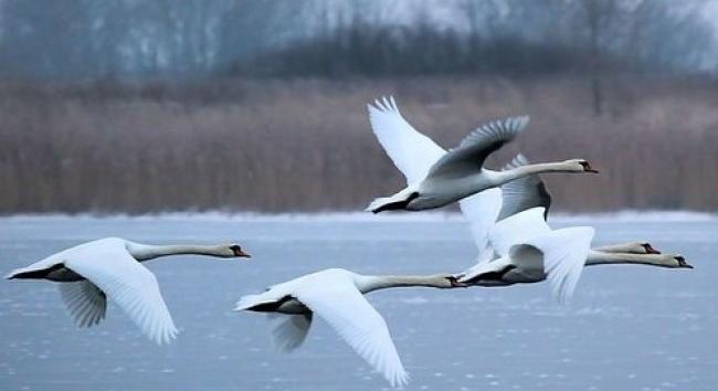 A napot nem nagyon látjuk - Ilyen időjárás várható február 7-én, pénteken