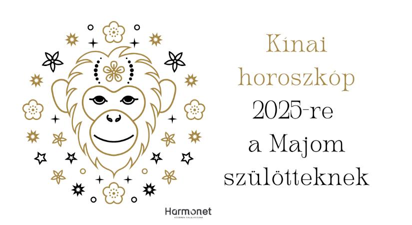 Kínai horoszkóp 2025-re a Kígyó évében: Majom