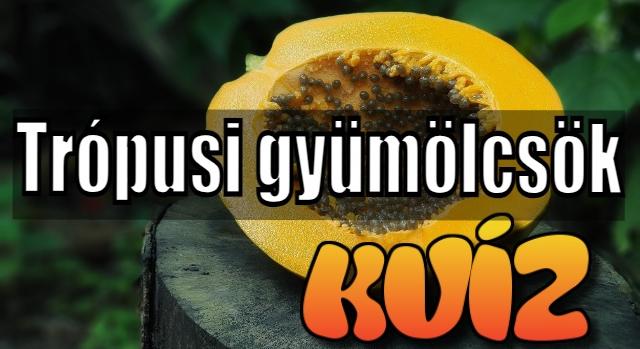 Kvíz: A nagy trópusi gyümölcs felismerő kvíz! Sikerül eltalálni mindegyiket?