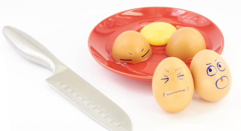Top 10 + 1 előny, amiért a tojás igazi bajnok a táplálkozásban