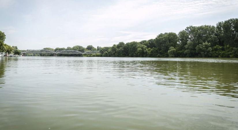 Álmodni se mert róla a horgász, hogy kifogja a Tisza-tó királyát  videó