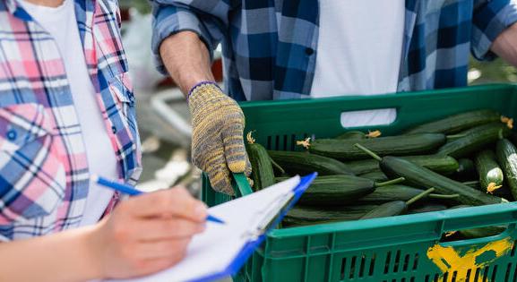 Fordulat: nem elég a diploma, erre vágynak a munkaadók