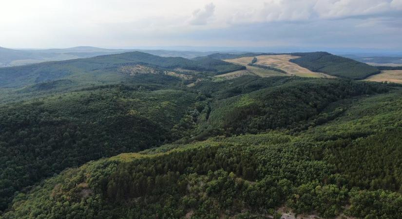 A magyarok 60 százaléka utazott az elmúlt két évben egy felmérés szerint