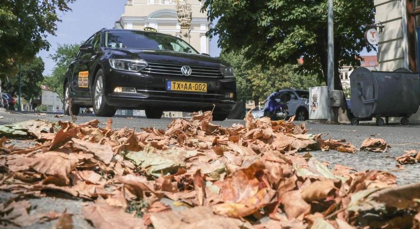 Mutatjuk, mikor nem működik jól az ABS: ezen a felületen szinte hatástalan