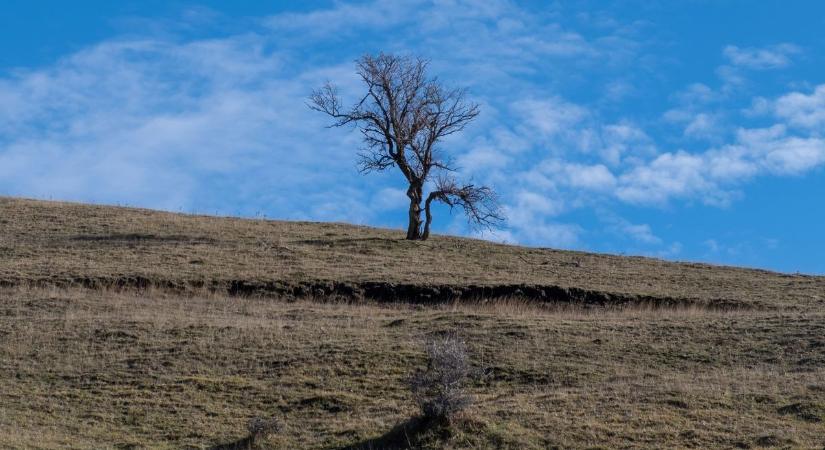 Aszály januárban - Nagy a szárazság a Nyugat-Dunántúlon, rengeteg csapadék hiányzik a földekről