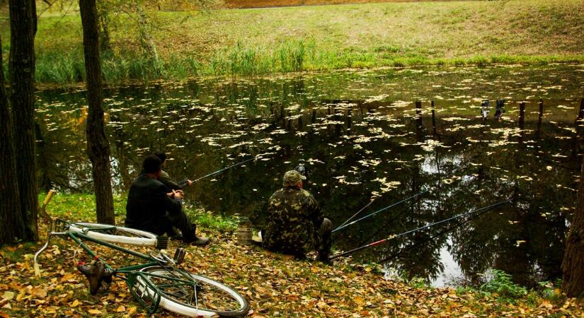 Milliárdokkal támogatta a kormány ezt a szektort