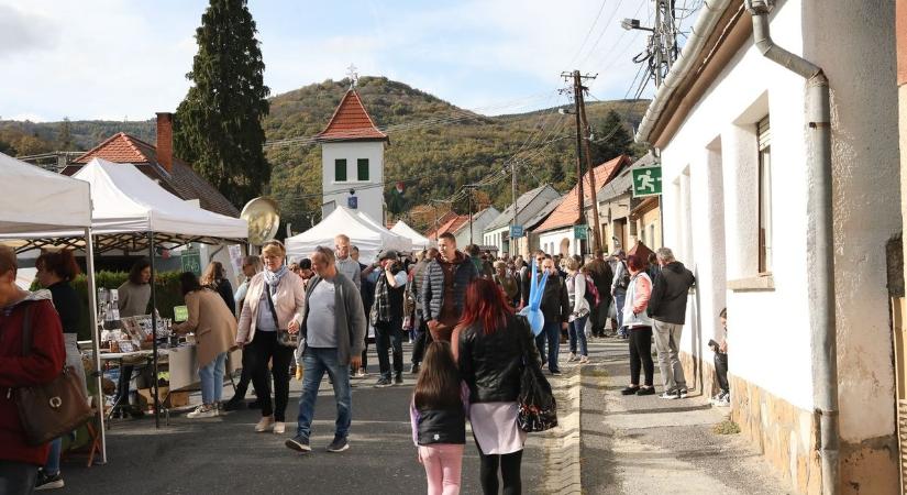 Velemi gesztenyeünnepről, az üdülőterület problémáiról és terveiről is beszélt az új polgármester