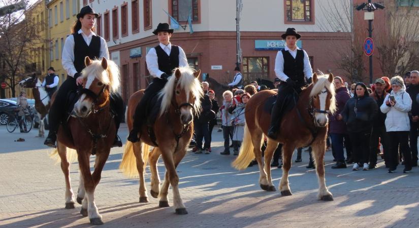 Mezőhegyesi ötös, lipicai négyes – egy napig a lovak uralták a belvárost – galériával