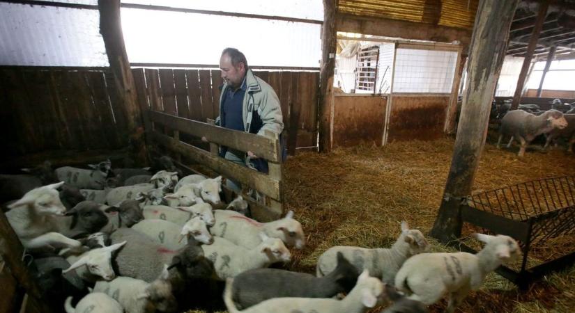 A következő két hét sorsdöntő lesz a pestis miatt