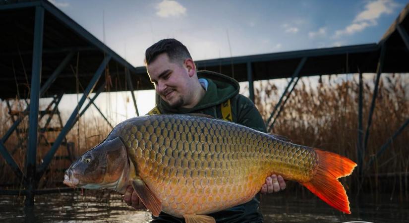 Hideg van a pecához? Egymás után fogják az óriáspontyokat a Balatonban